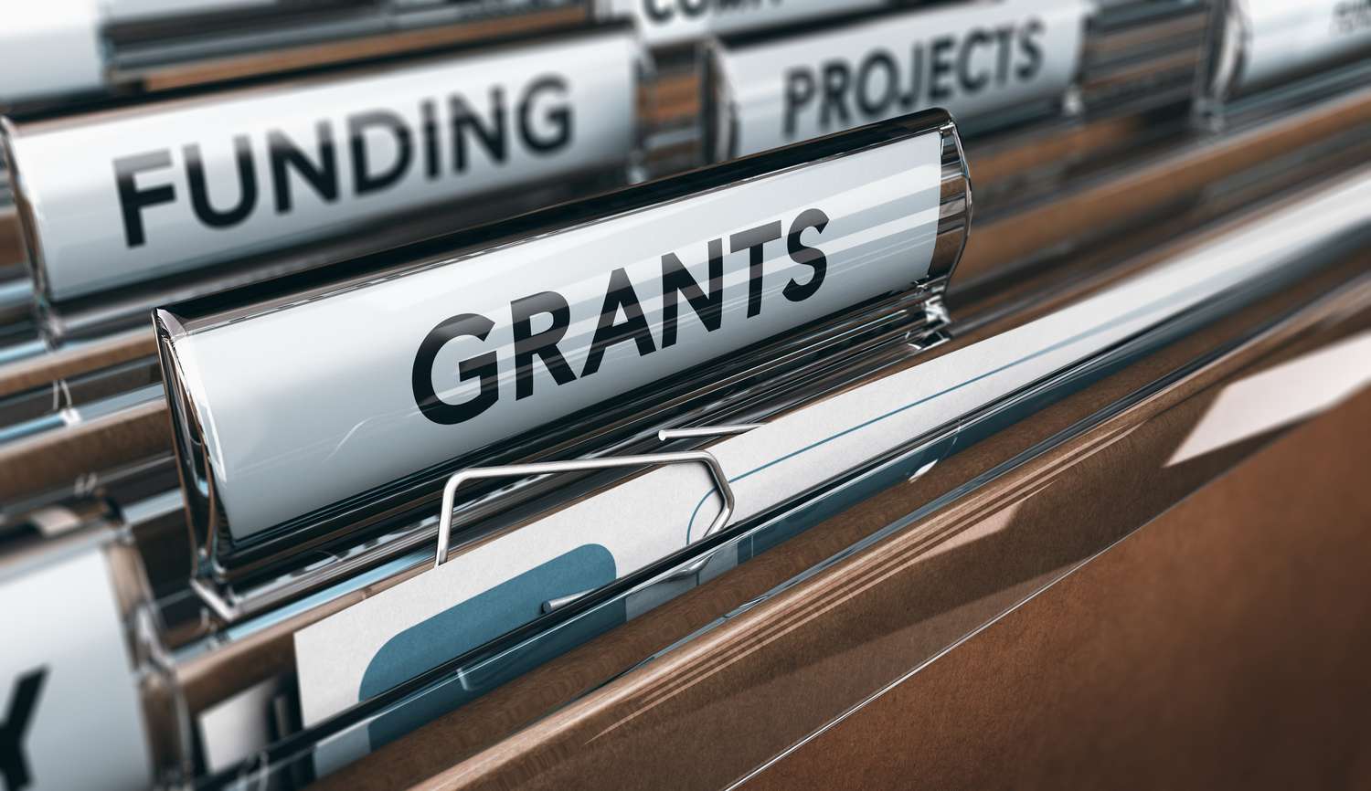 Grant budgeting in Government agencies and its use