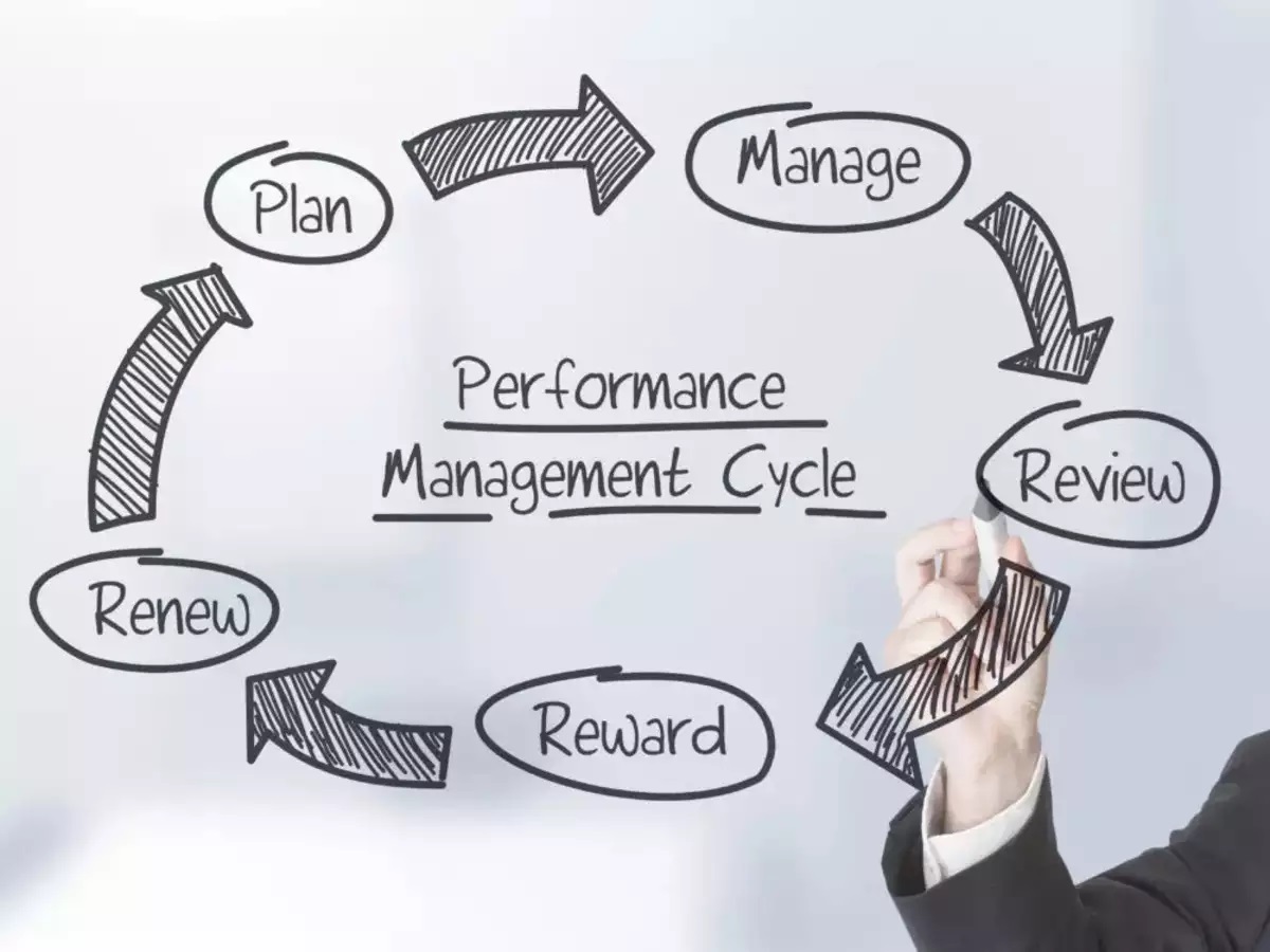 Performance Management Cycle